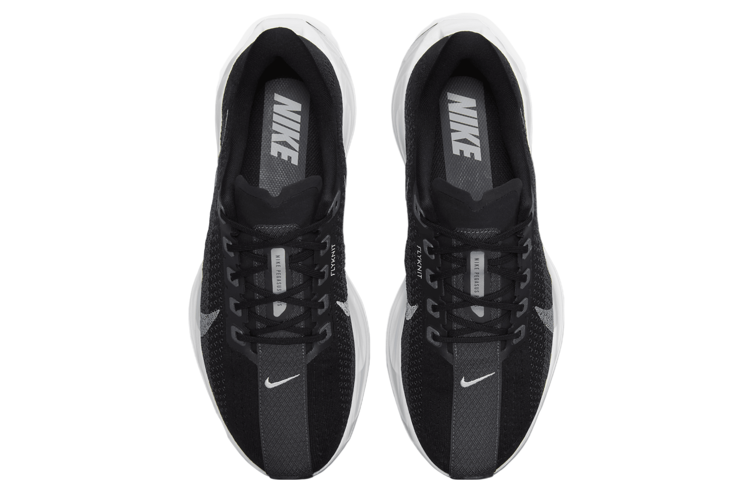 Nike Pegasus Plus Black / Anthracite