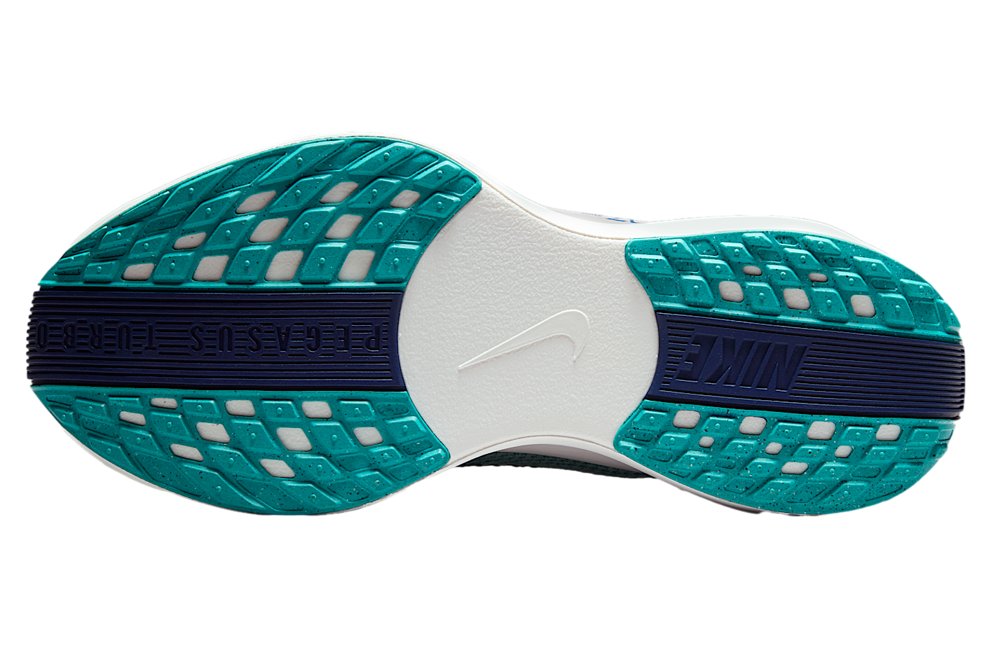 Nike Pegasus Plus Dusty Cactus / Glacier Blue