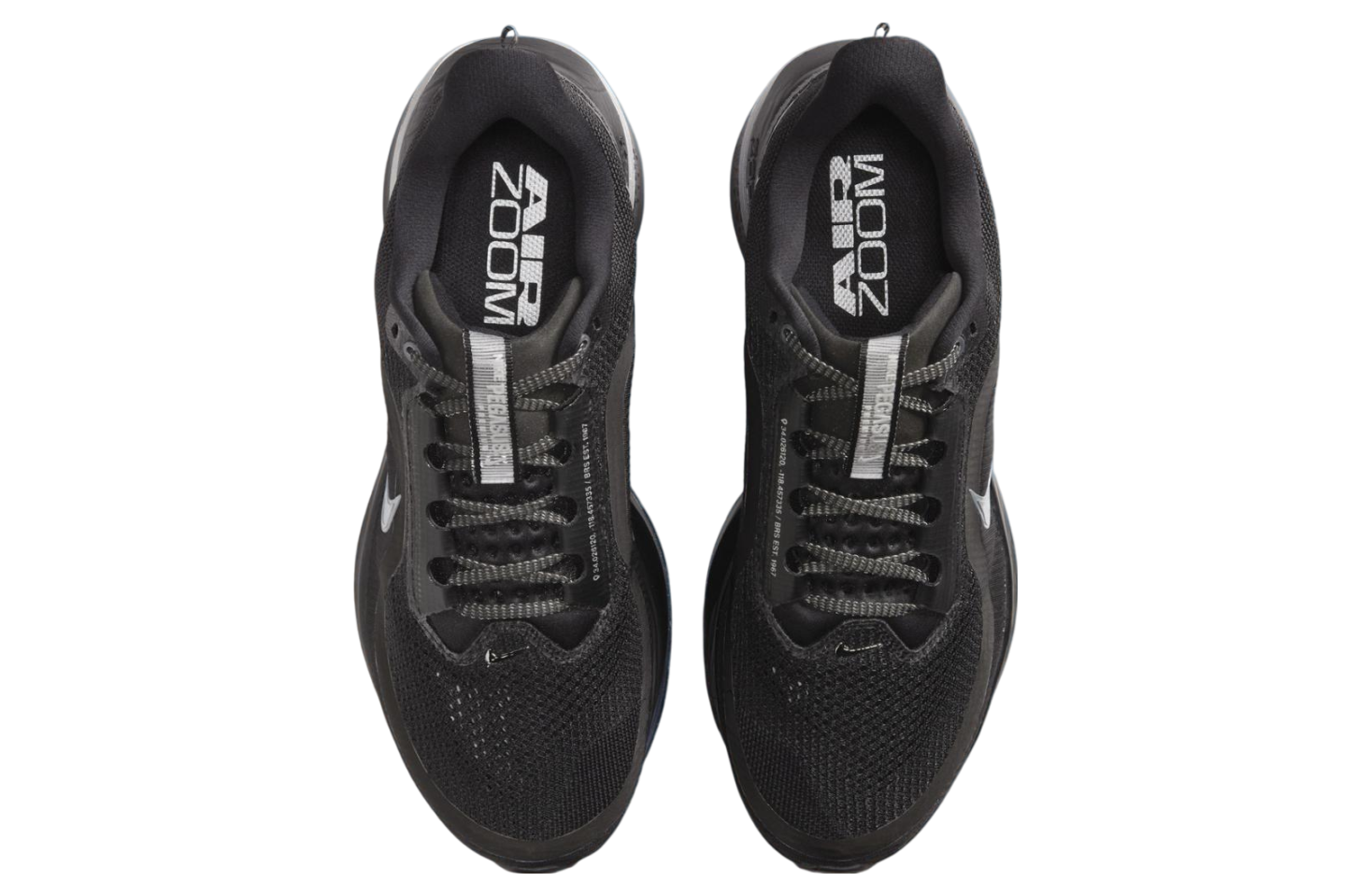 Nike Pegasus Premium Black / Metallic Silver