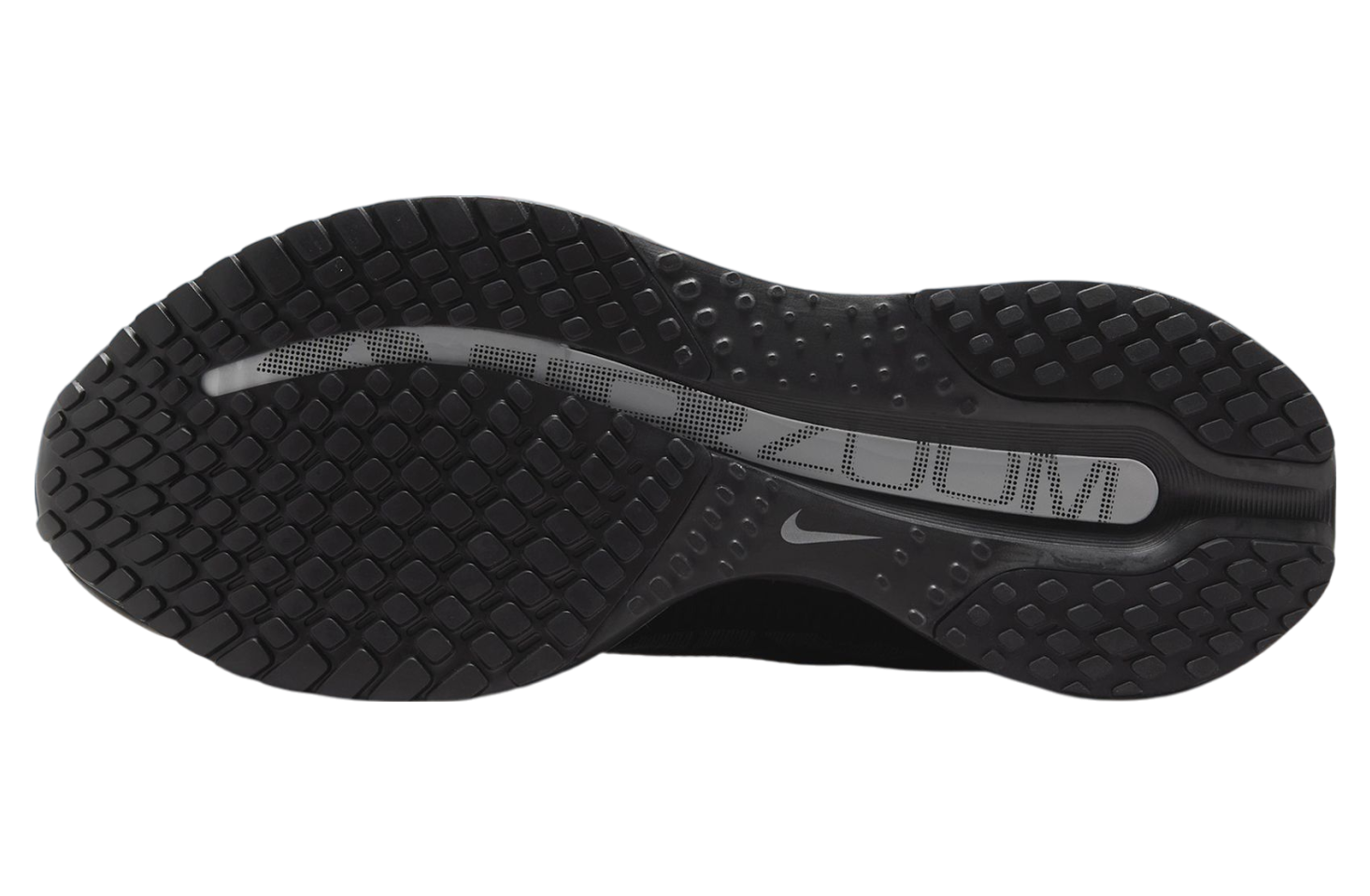 Nike Pegasus Premium Black / Metallic Silver