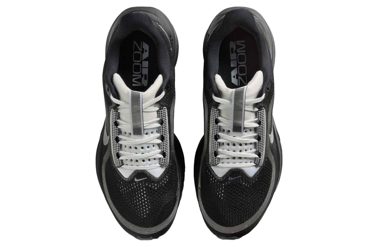 Nike Pegasus Premium Black / Metallic Silver / White