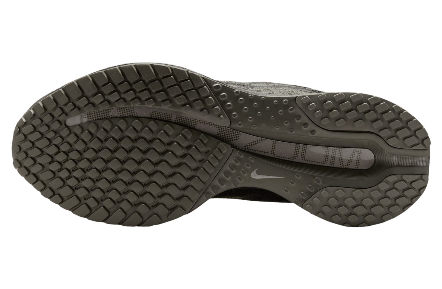 Nike Pegasus Premium Light Loden / Dark Charcoal