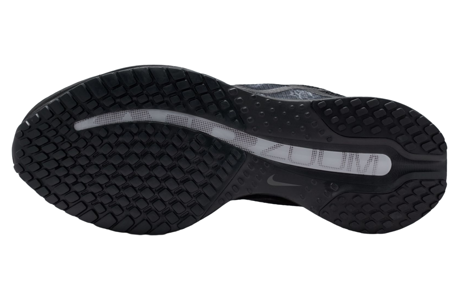 Nike Pegasus Premium Off Noir / Black