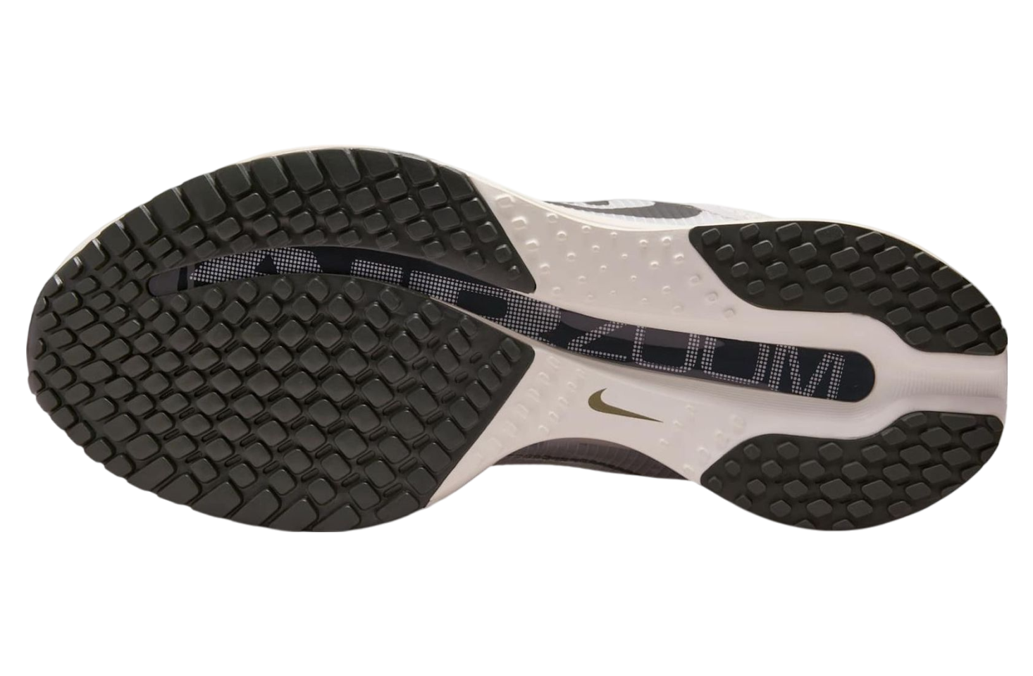 Nike Pegasus Premium Run