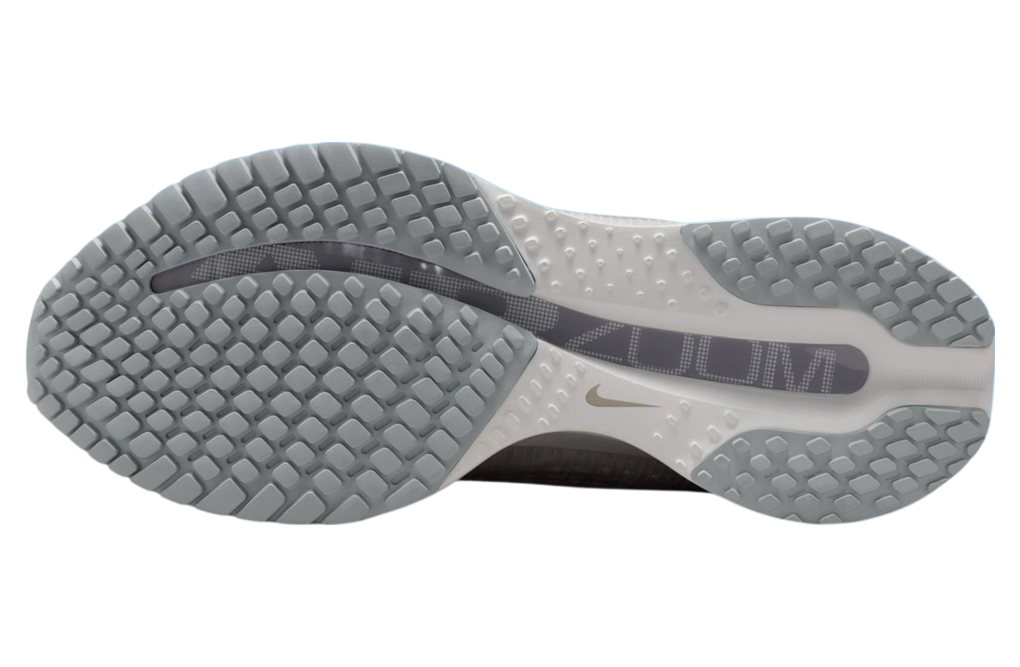 Nike Pegasus Premium Vast Grey / Off White