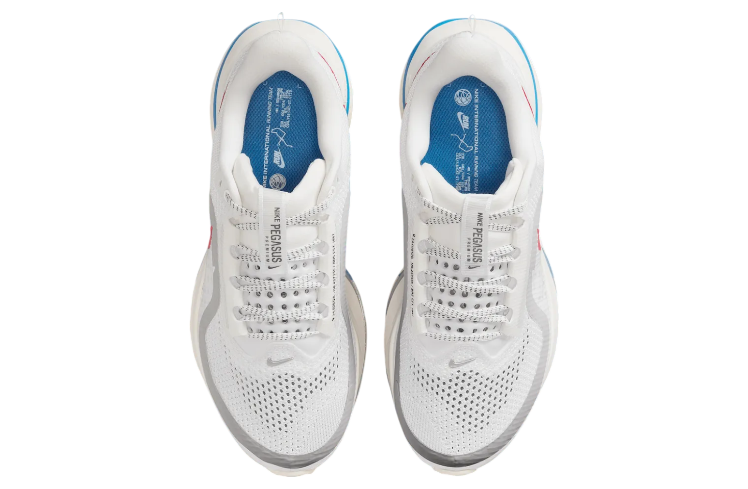 Nike Pegasus Premium Wmns Forrest Gump