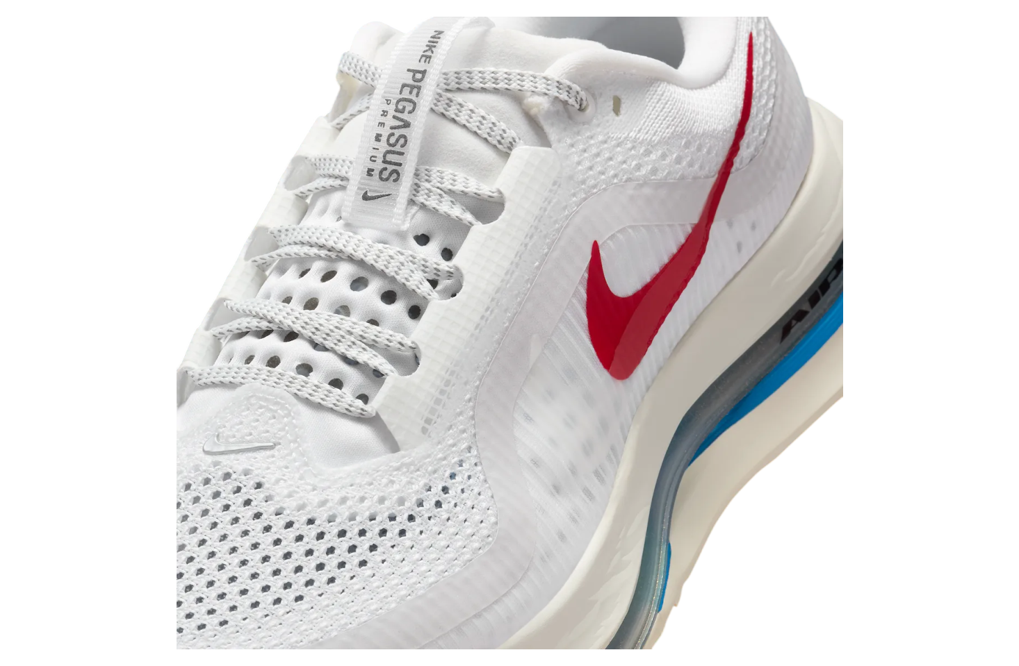 Nike Pegasus Premium Wmns Forrest Gump