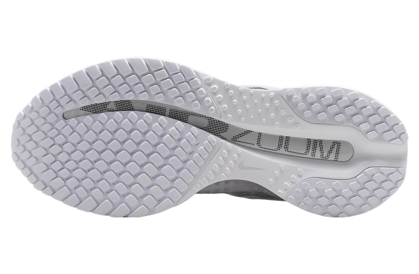 Nike Pegasus Premium Wmns White / Metallic Silver