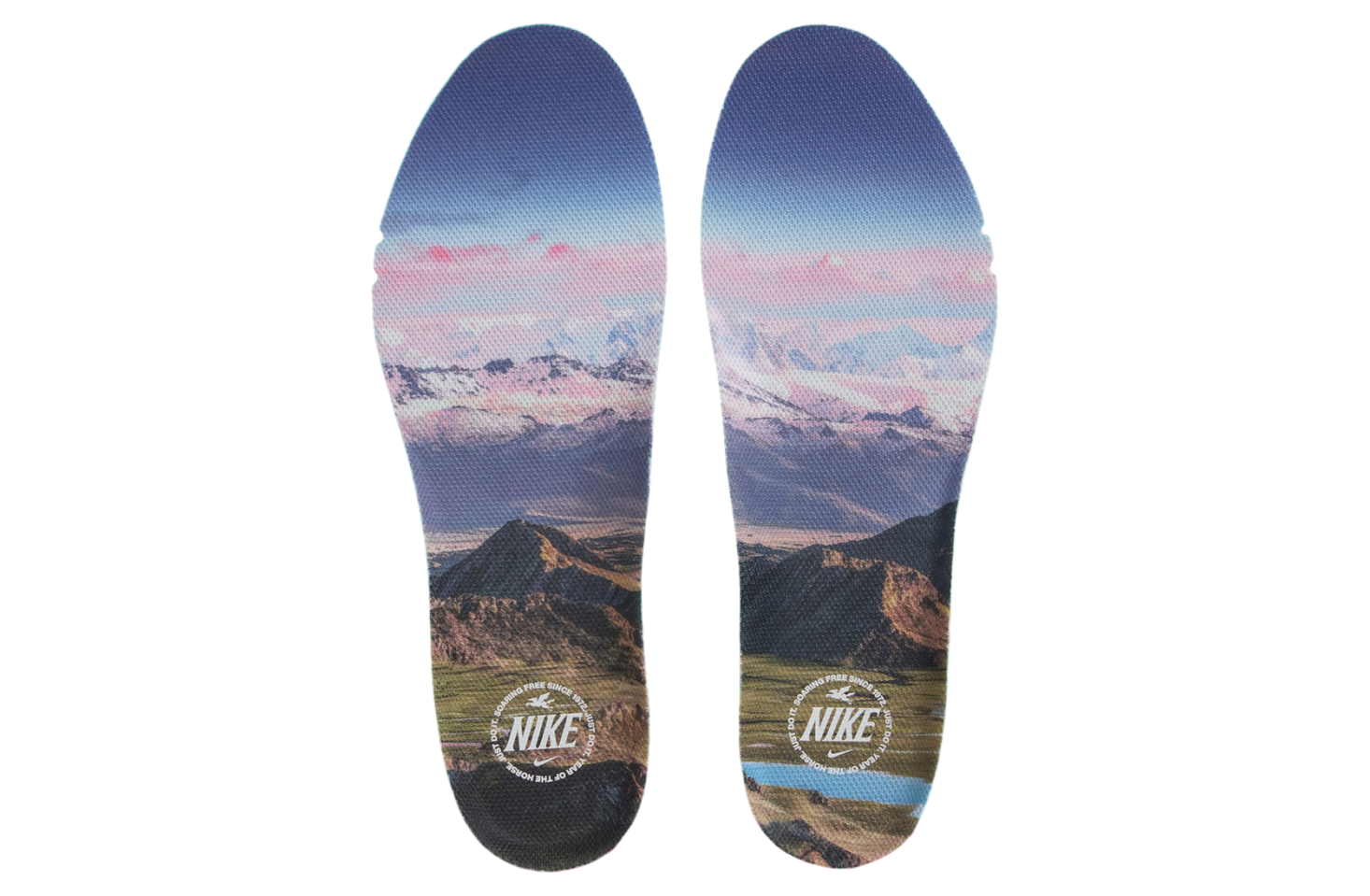 Nike Pegasus Premium Year of the Horse