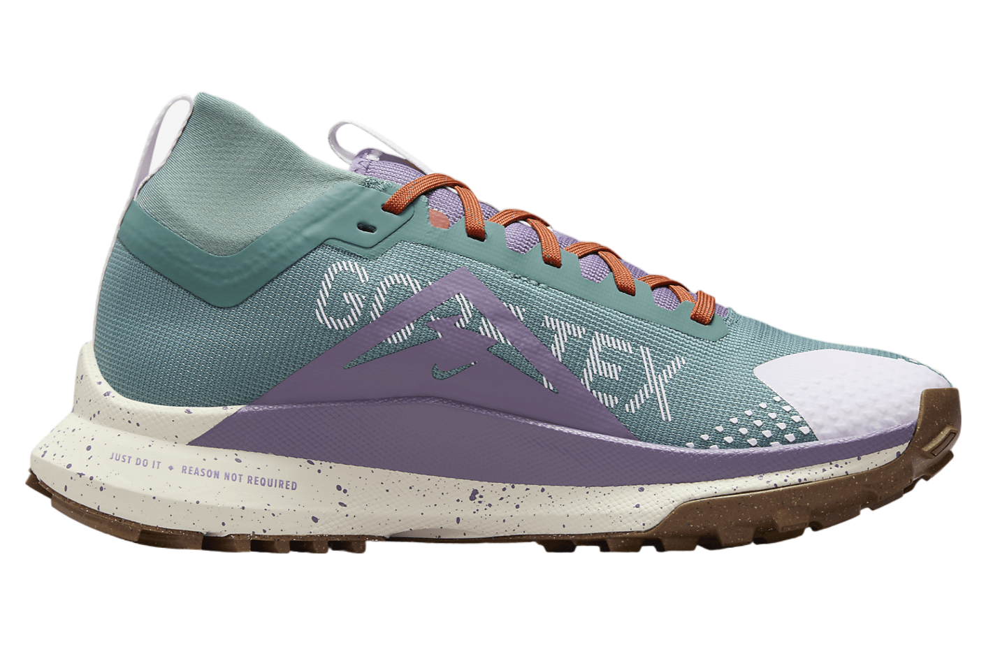 Nike Pegasus Trail 4 GORE-TEX WMNS Bicoastal / Phantom