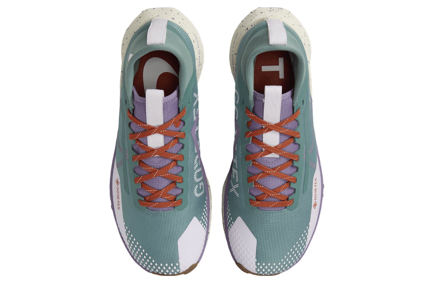 Nike Pegasus Trail 4 GORE-TEX WMNS Bicoastal / Phantom