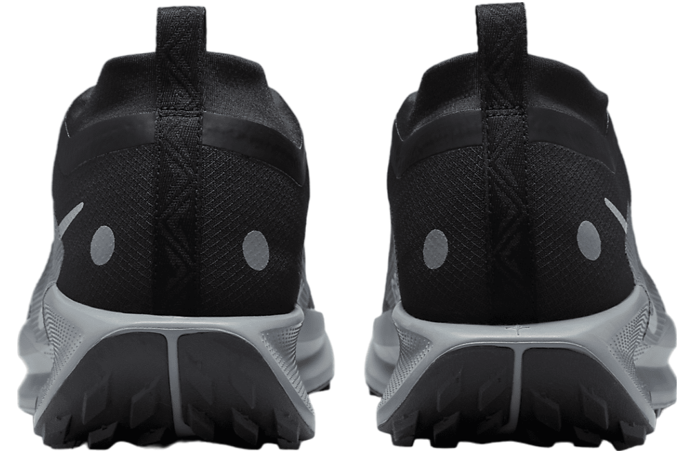 Nike Pegasus Trail 5 GORE-TEX Black / Cool Grey