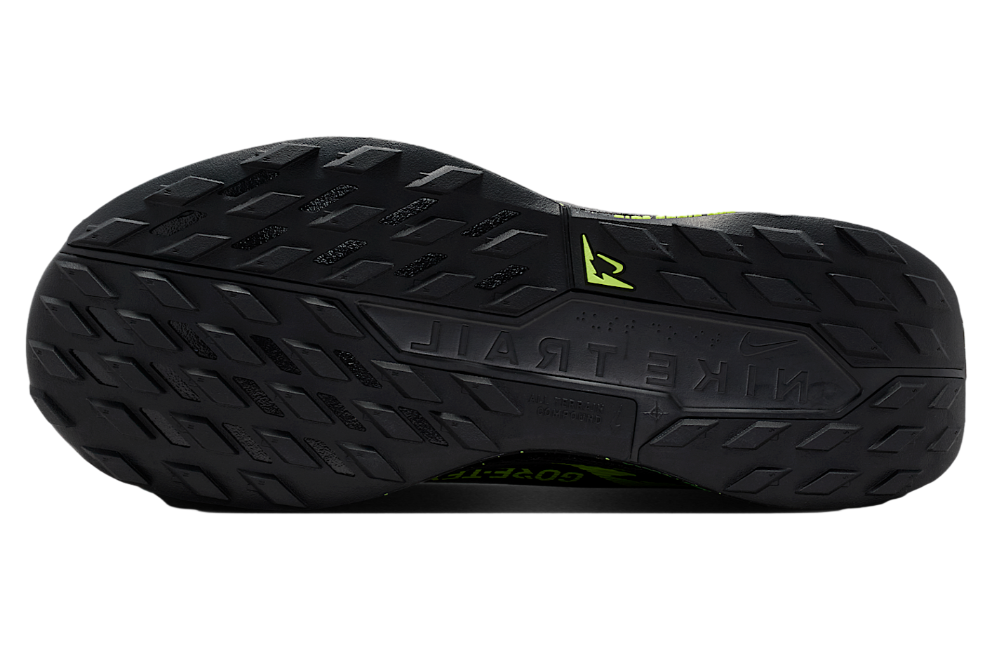 Nike Pegasus Trail 5 Gore-Tex Black / Phantom