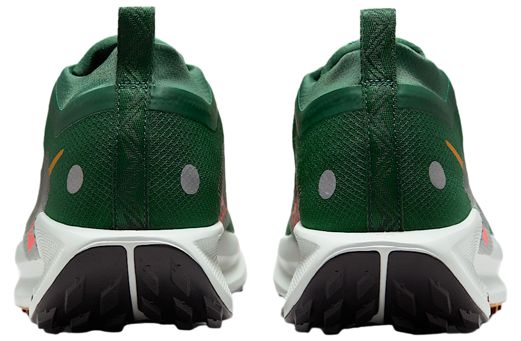 Nike Pegasus Trail 5 Gore-tex Fir / Clay Green