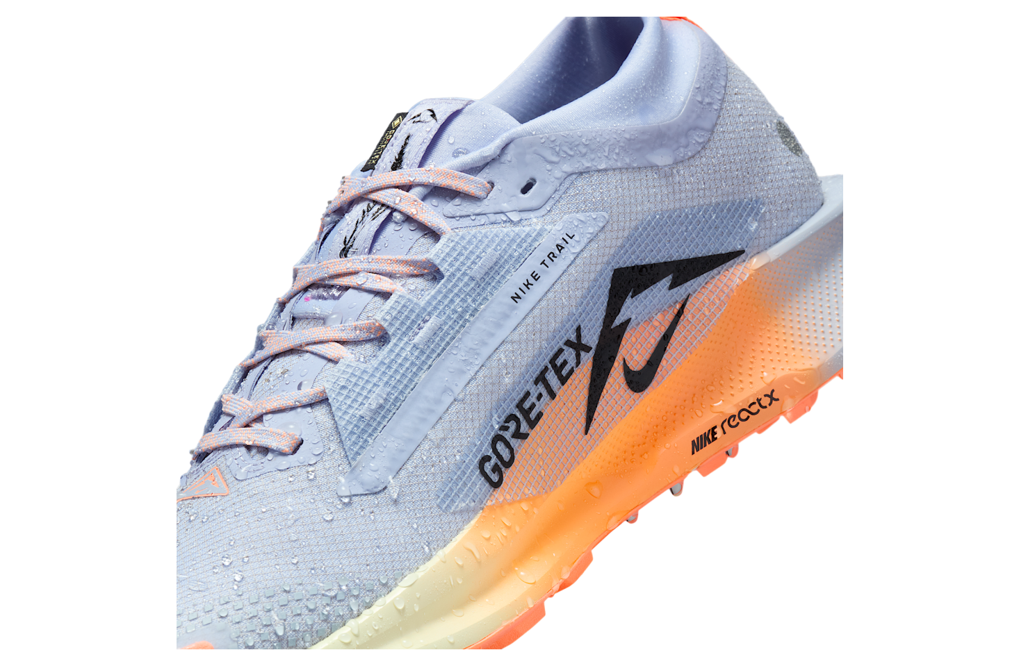 Nike Pegasus Trail 5 Gore-Tex Ghost / Malt