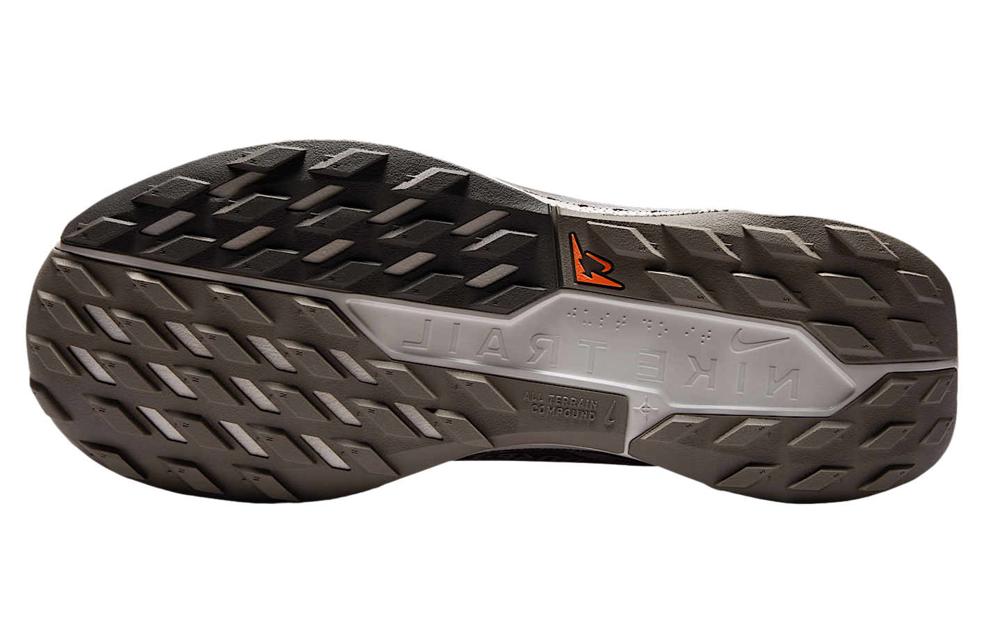 Nike Pegasus Trail 5 Gore-Tex Ironstone / Velvet Brown