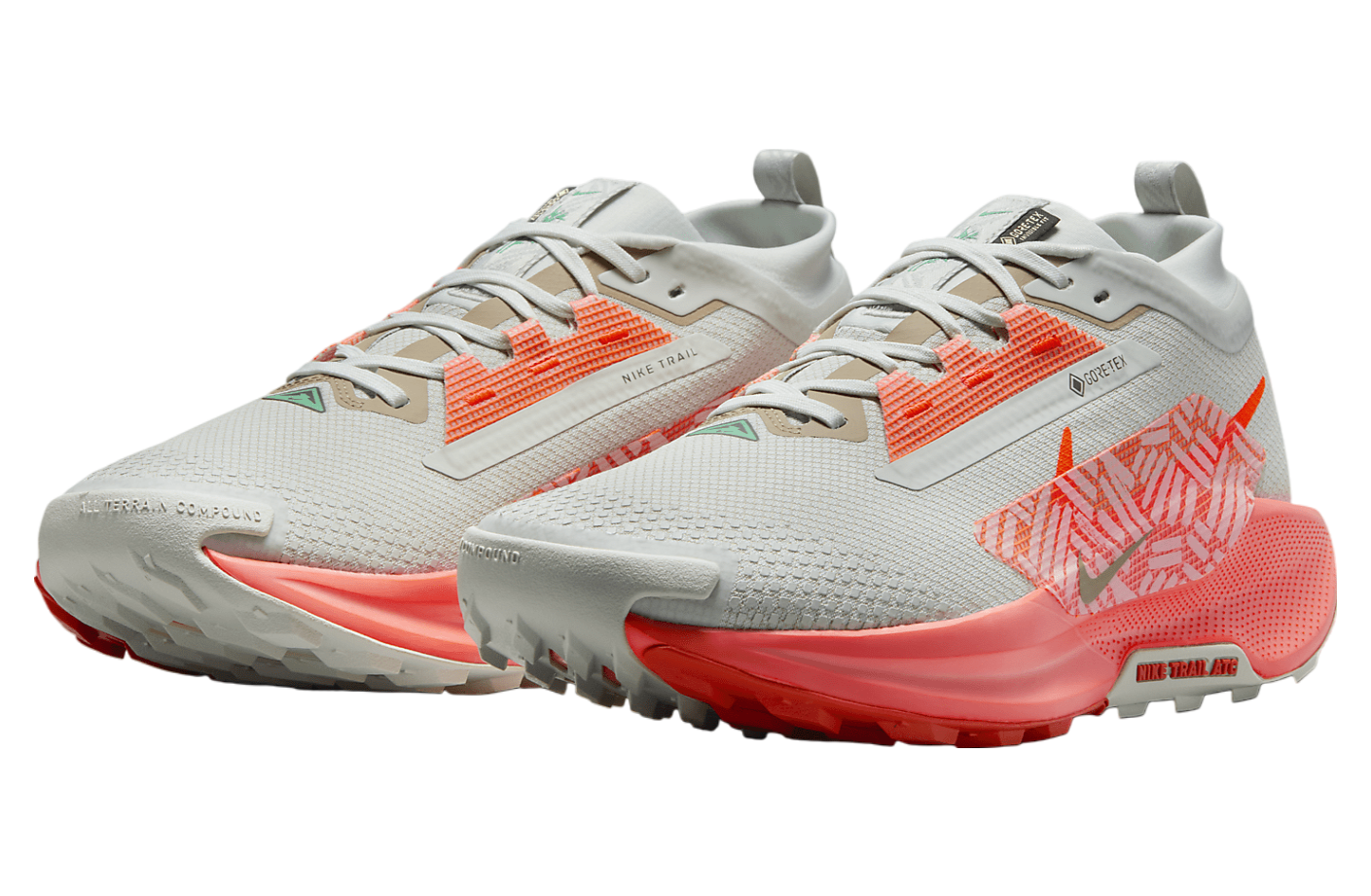 Nike Pegasus Trail 5 Gore-Tex Light Silver / Light Wild Mango