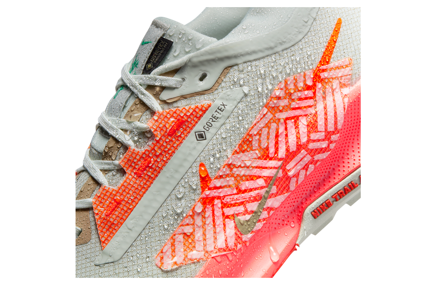 Nike Pegasus Trail 5 Gore-Tex Light Silver / Light Wild Mango