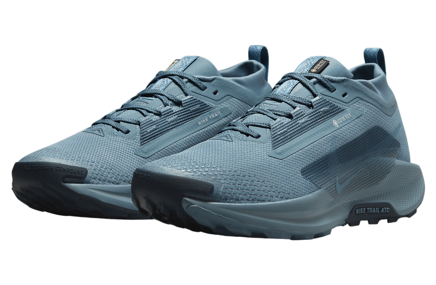 Nike Pegasus Trail 5 Gore-Tex Smokey Blue / Light Silver