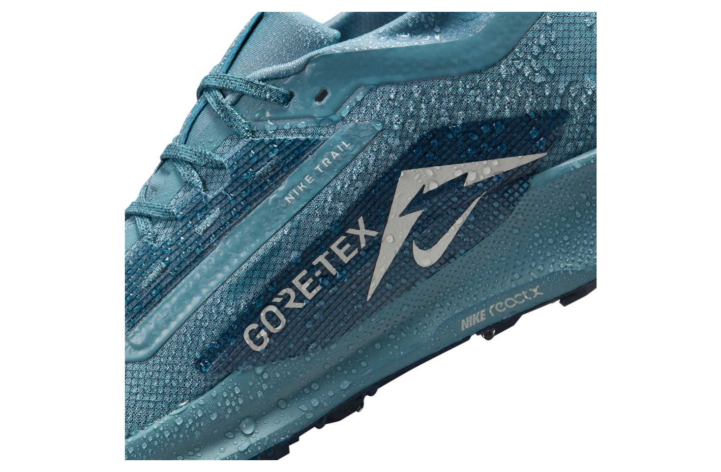 Nike Pegasus Trail 5 Gore-Tex Smokey Blue / Light Silver