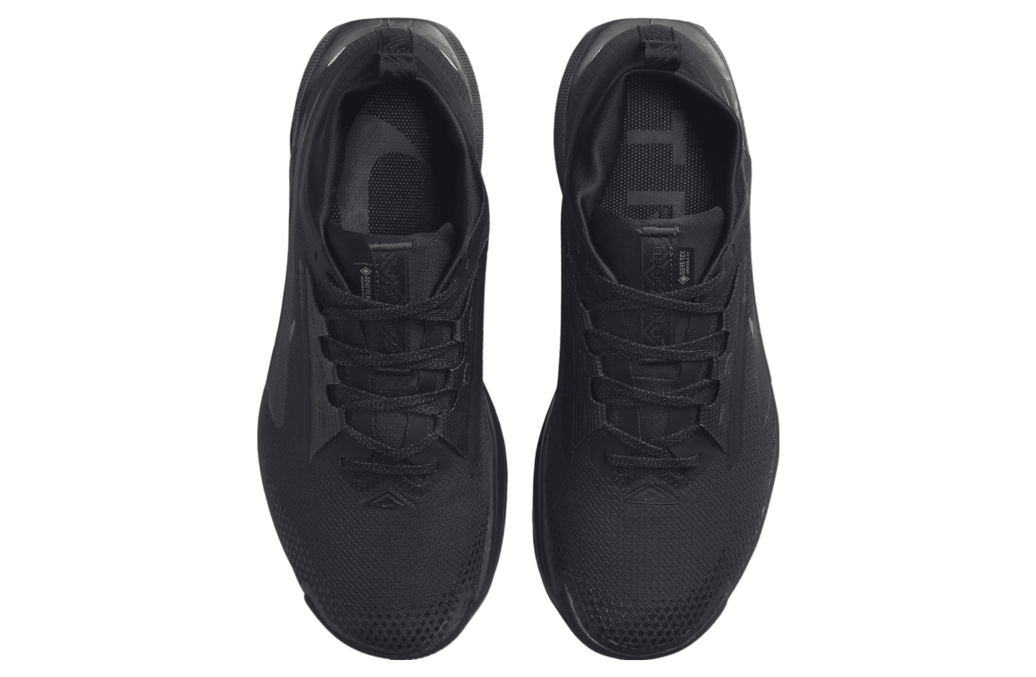 Nike Pegasus Trail 5 GORE-TEX Triple Black