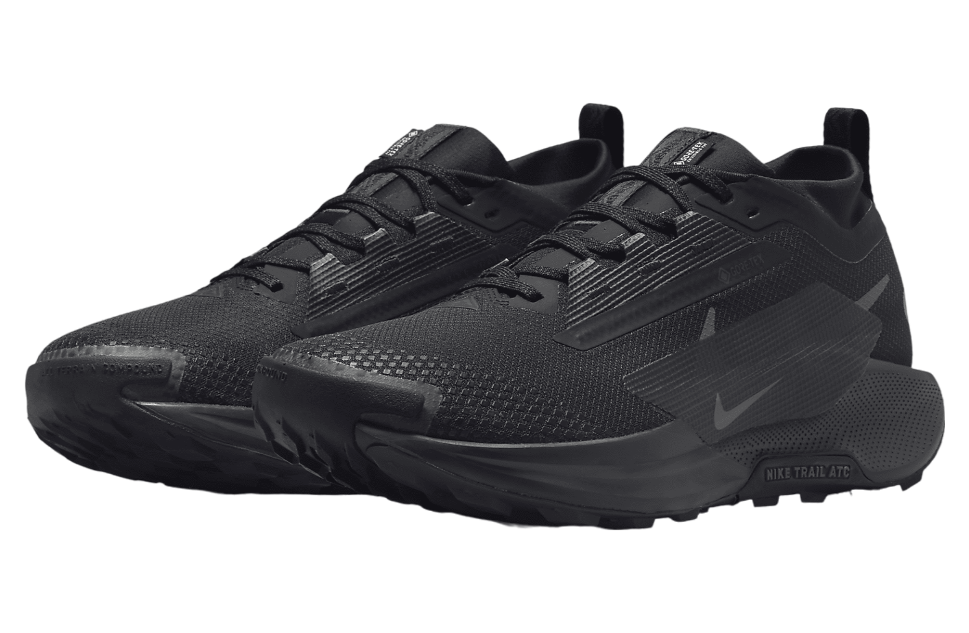 Nike Pegasus Trail 5 GORE-TEX Triple Black