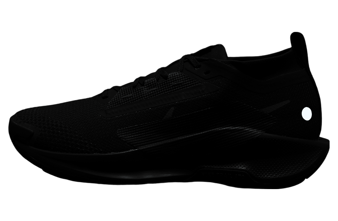 Nike Pegasus Trail 5 GORE-TEX Triple Black