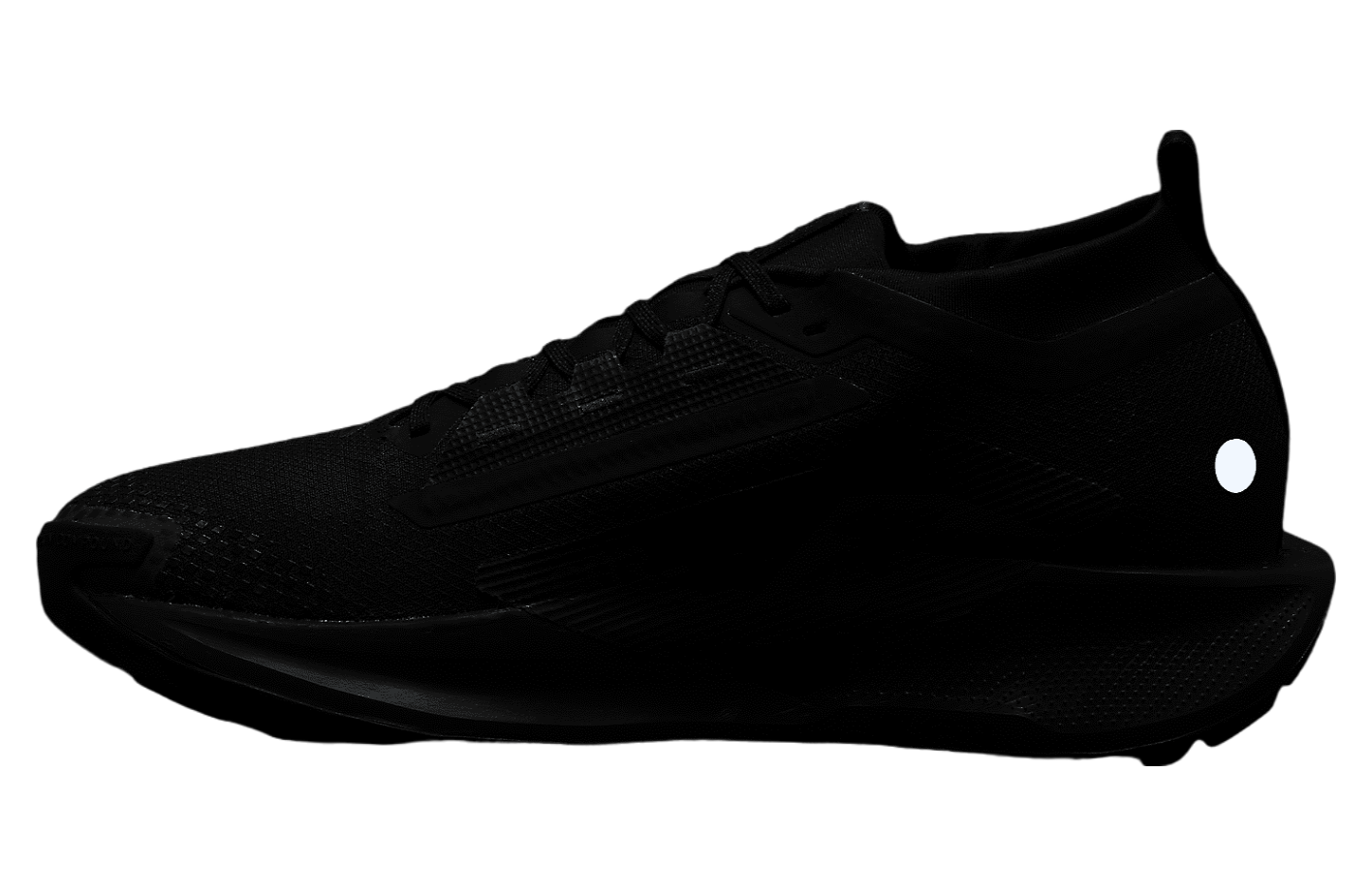 Nike Pegasus Trail 5 GORE-TEX Triple Black