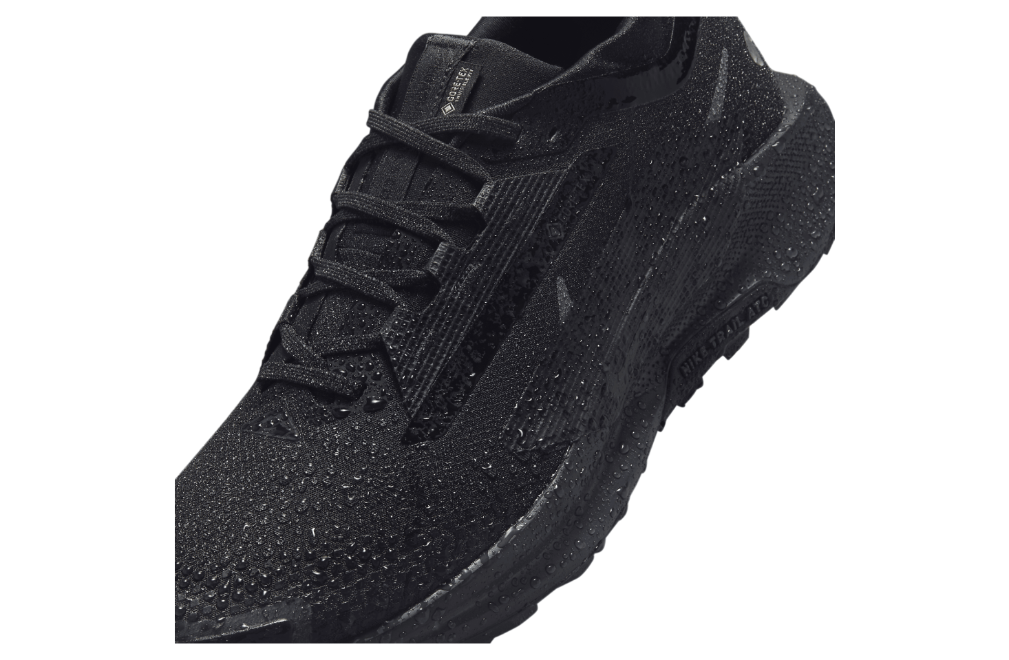 Nike Pegasus Trail 5 GORE-TEX Triple Black