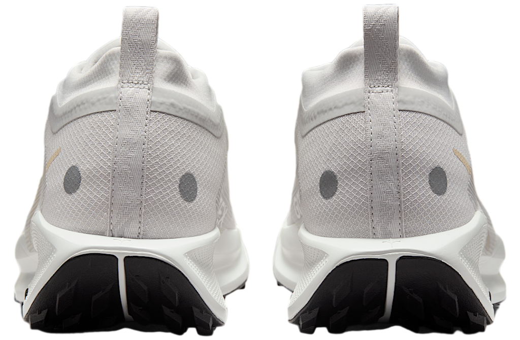 Nike Pegasus Trail 5 Gore-tex Vast Grey / Summit White