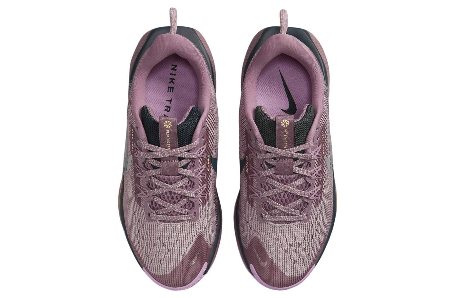 Nike Pegasus Trail 5 GS Plum Dust / Platinum Violet