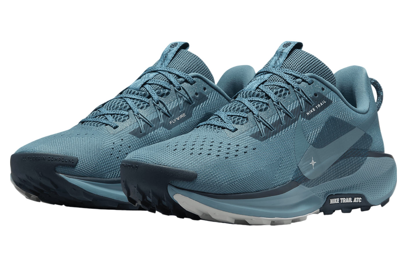 Nike Pegasus Trail 5 Smokey Blue / Light Silver