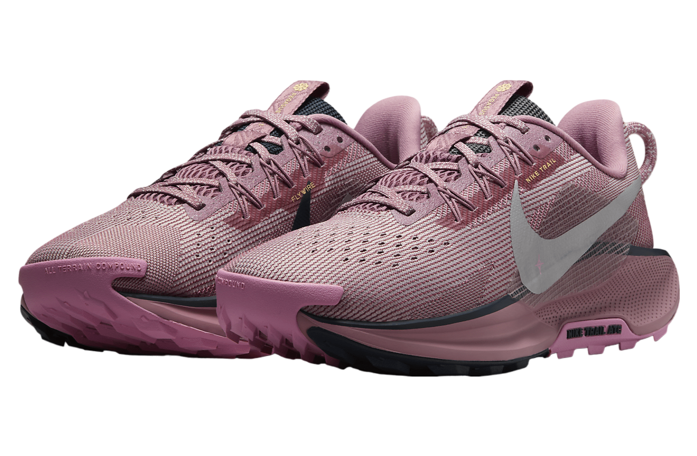 Nike Pegasus Trail 5 WMNS Plum Dust / Platinum Violet