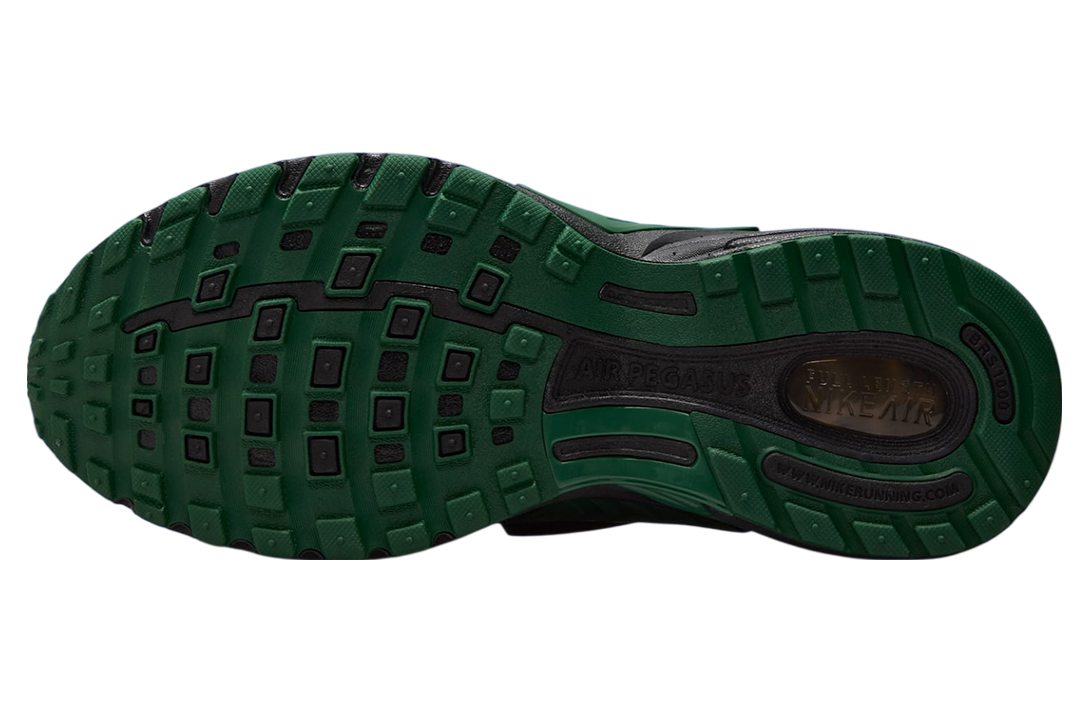 Nike Pegasus Wave Fir / Black