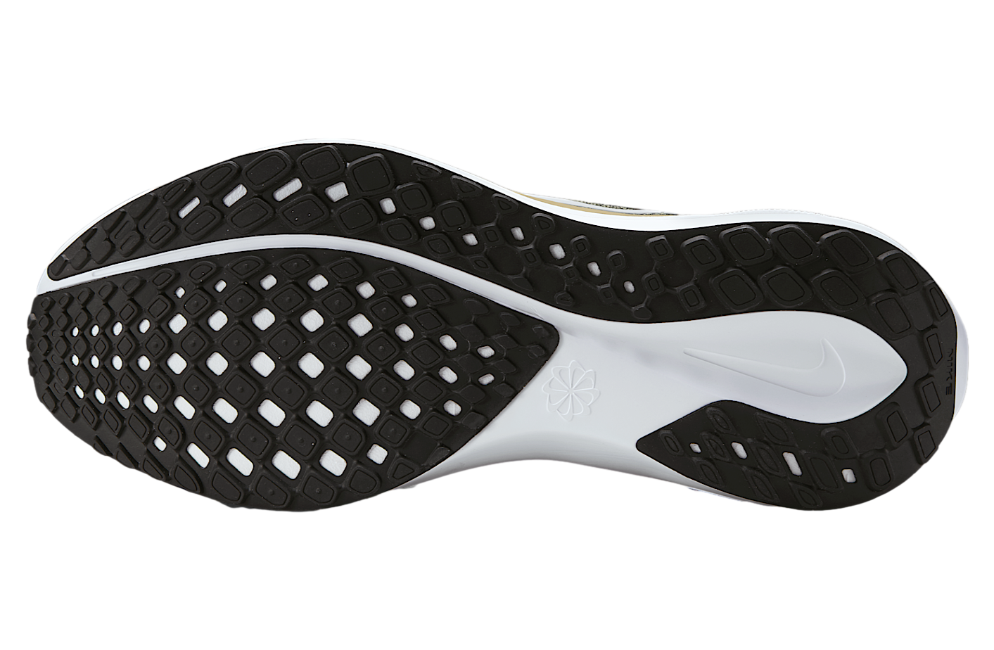 Nike Purdue Pegasus 41 Black / Team Gold / White