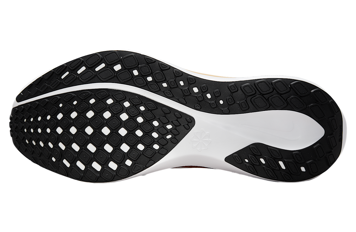 Nike San Francisco 49ers Pegasus 41 Gym Red / Club Gold