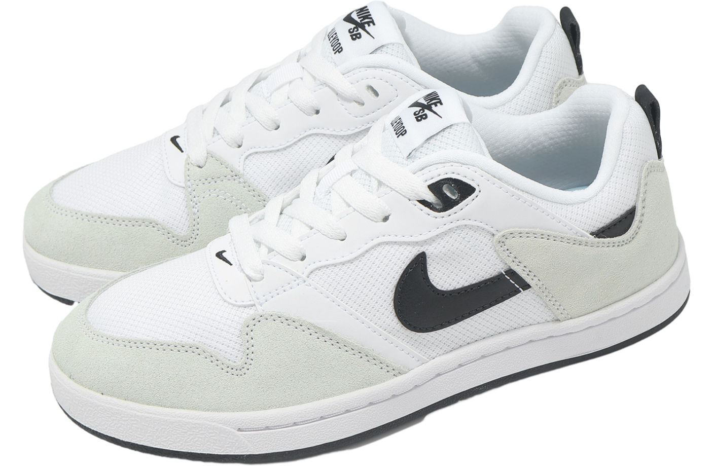 womens nike sb alleyoop