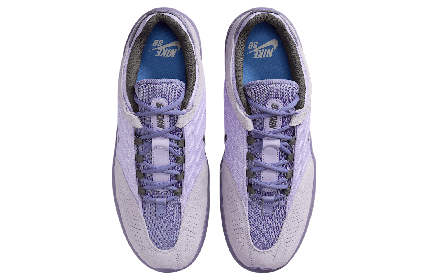 Nike SB Vertebrae Hydrangeas / Dusty Amethyst - Mar 2025  display picture 3
