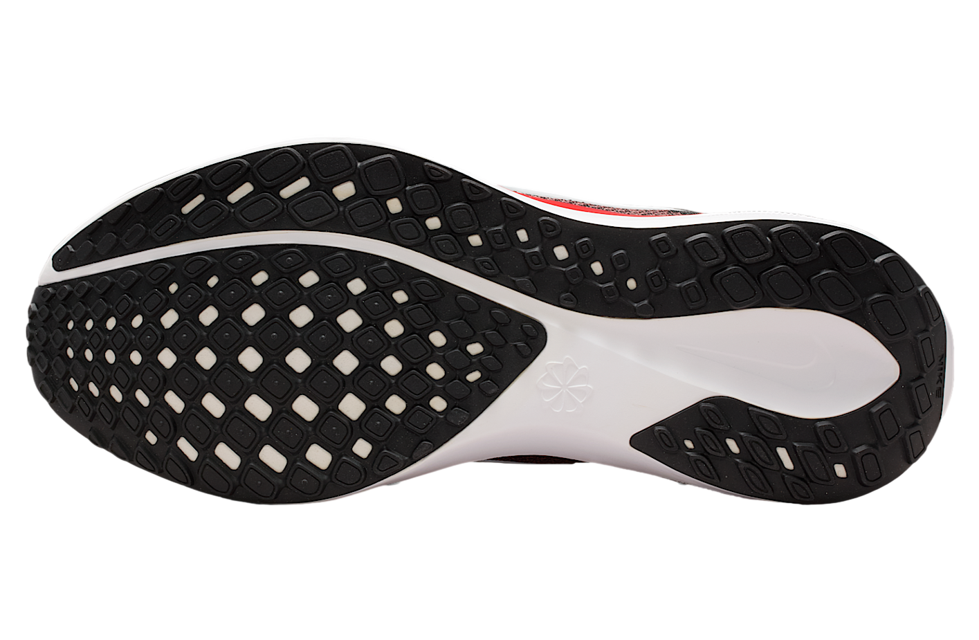 Nike Tampa Bay Buccaneers Pegasus 41 Deep Pewter / Gym Red