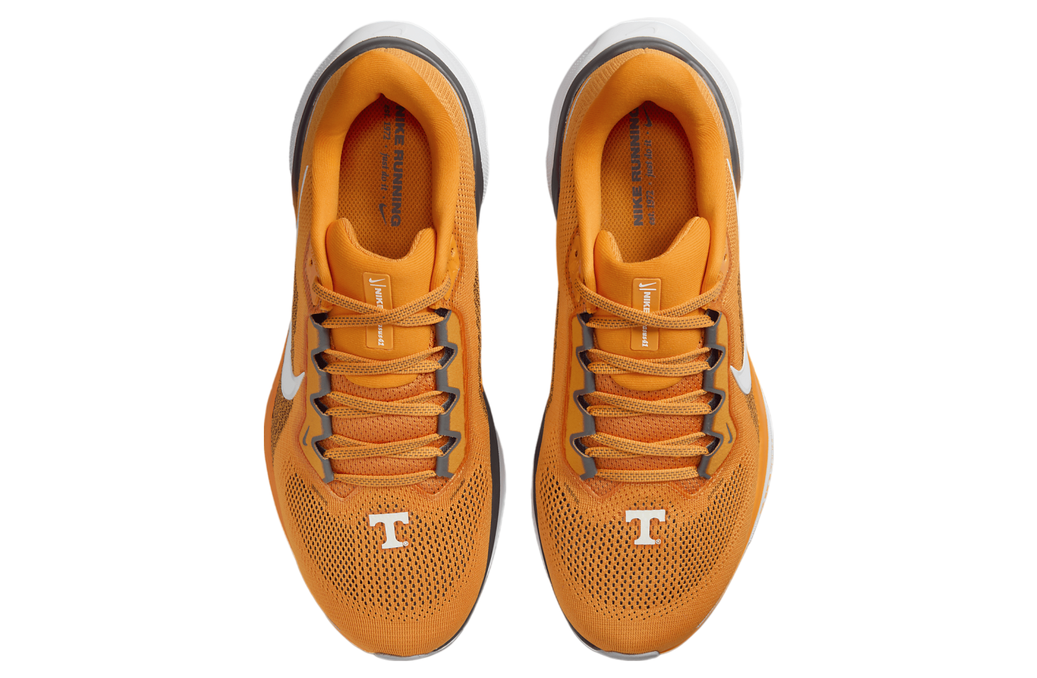 Nike Tennessee Pegasus 41 Bright Ceramic / White