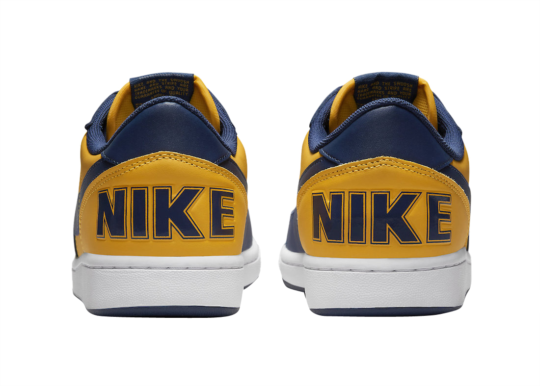 Nike Terminator Low Michigan