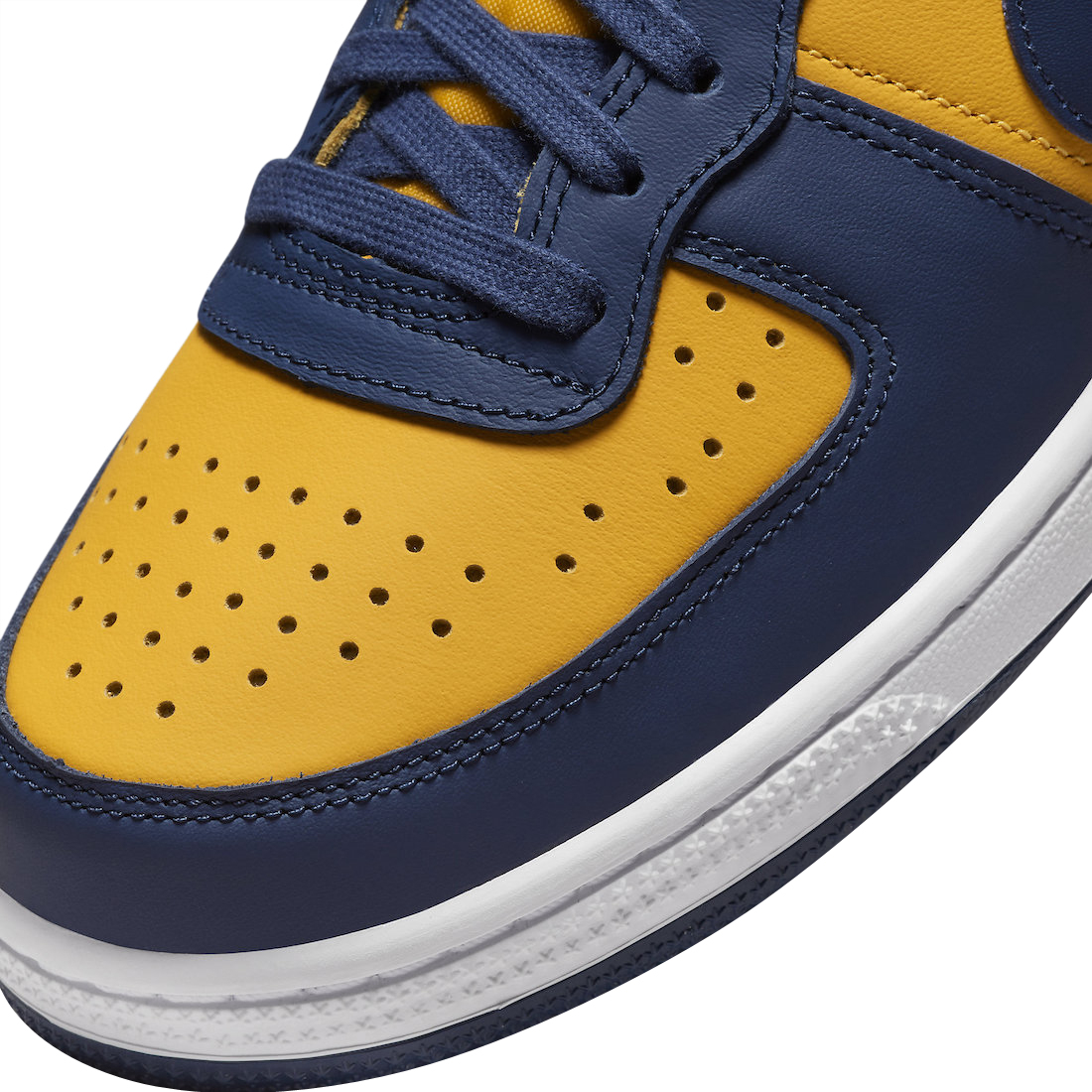 Nike Terminator Low Michigan