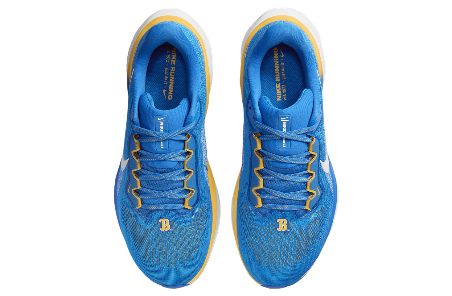 Nike UCLA Pegasus 41 Signal Blue / White