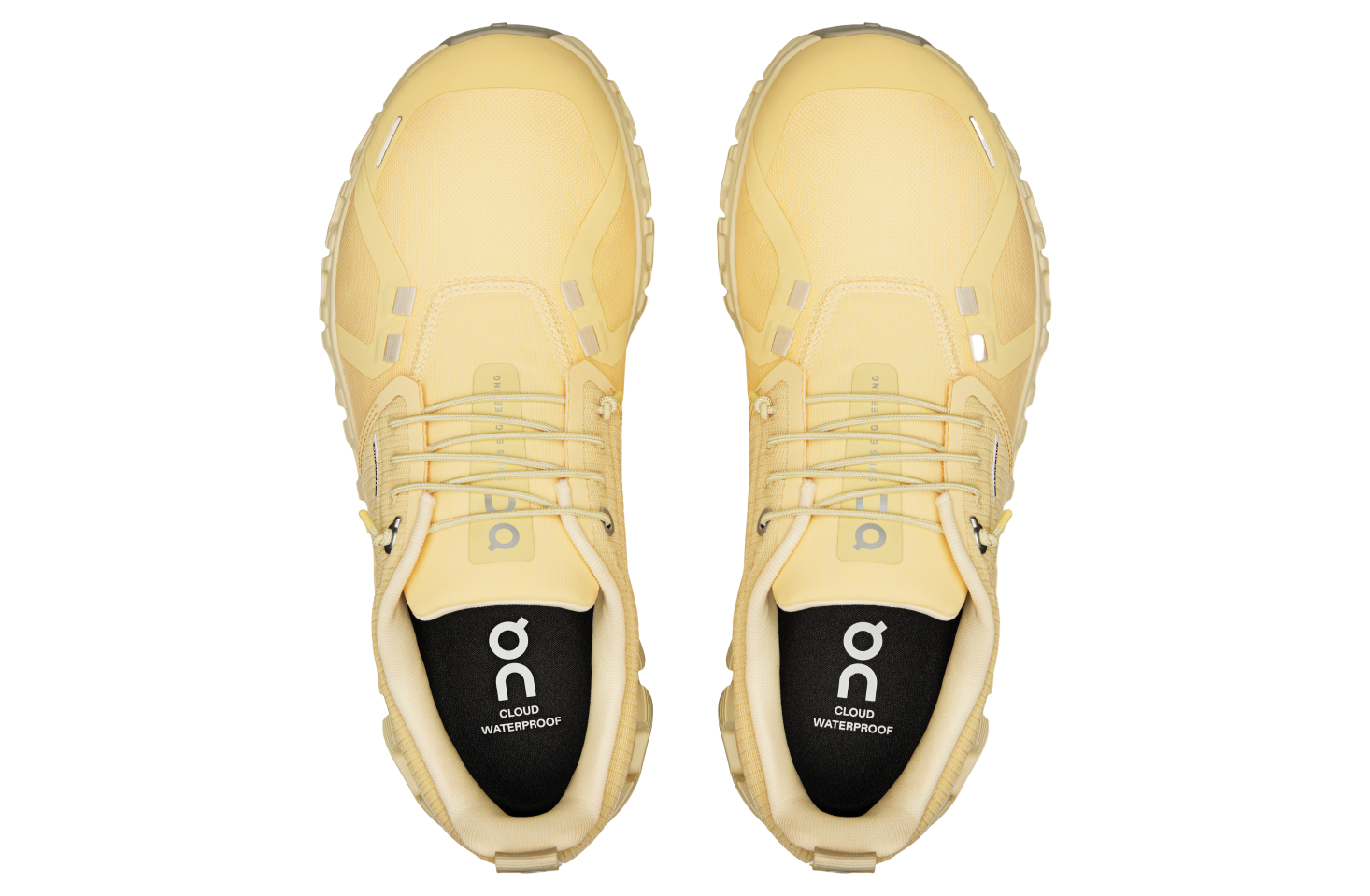On Cloud 6 Waterproof WMNS Nectar / Castor