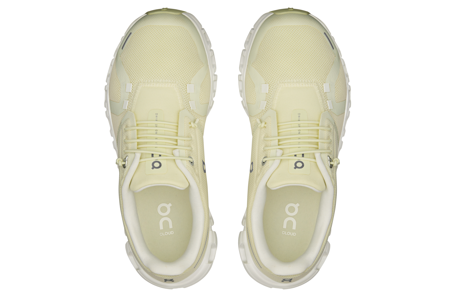 On Cloud 6 WMNS Seedling / Ice