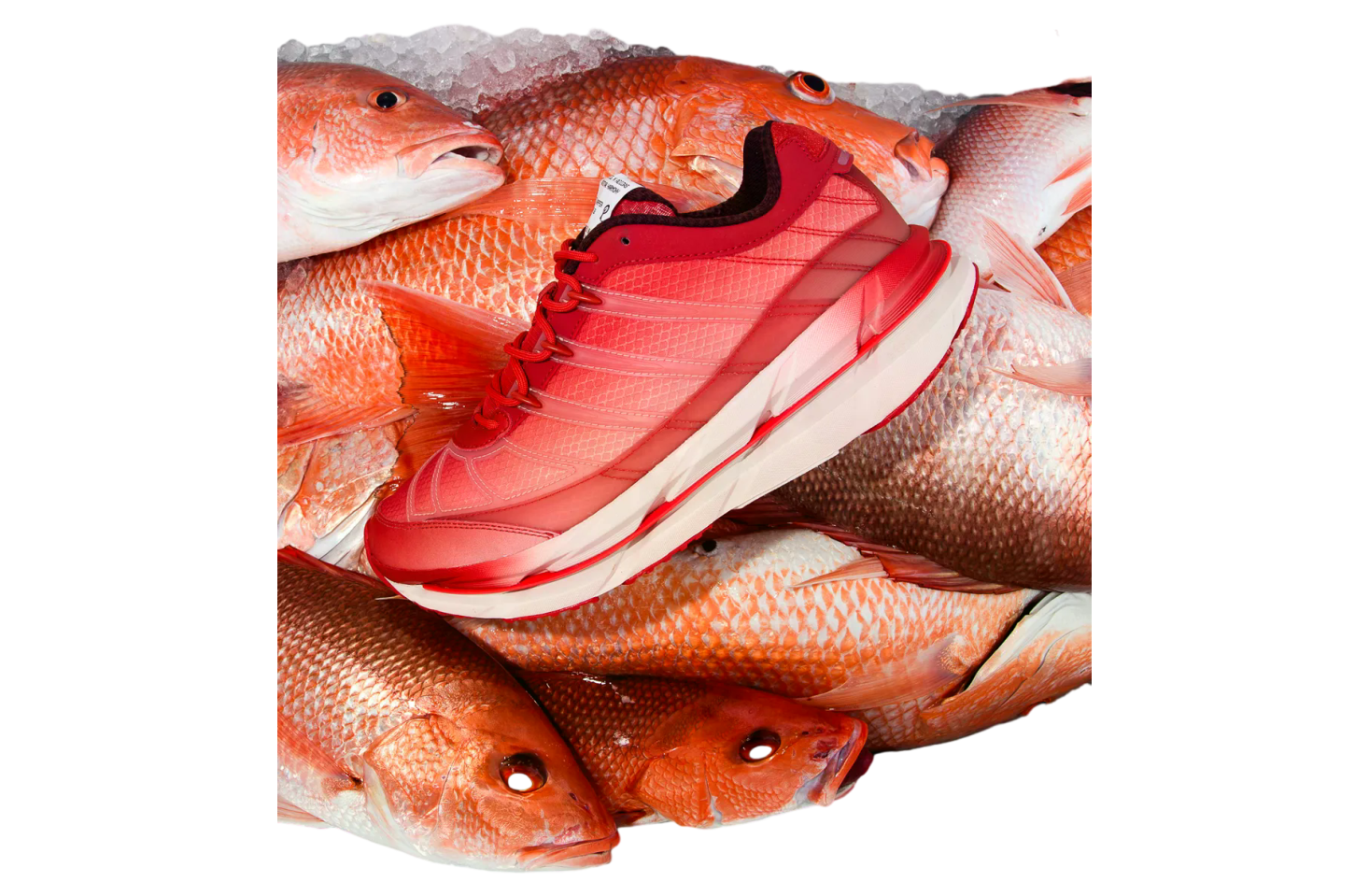 Politics x Adidas Adistar Hrmy Red Snapper