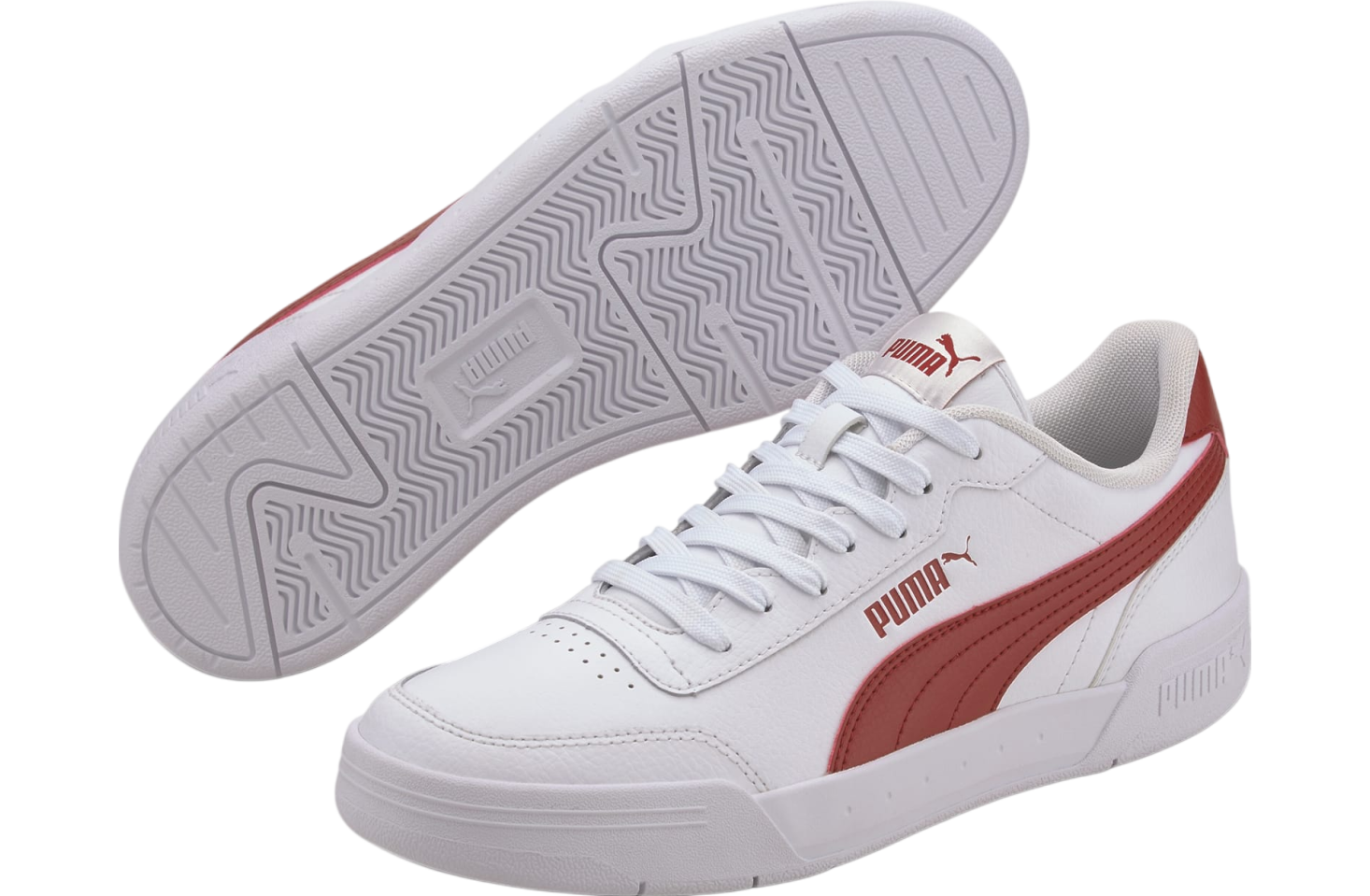 Puma caracal online