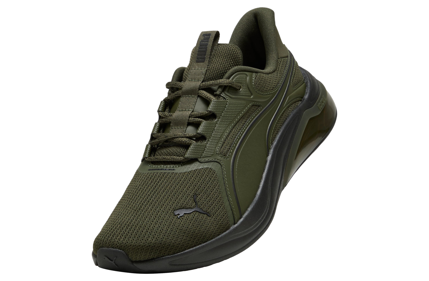 ダッチマン Live Spica Champions CD N8282 ダッチマン Live Spica Champions CD N8282 - メルカリ