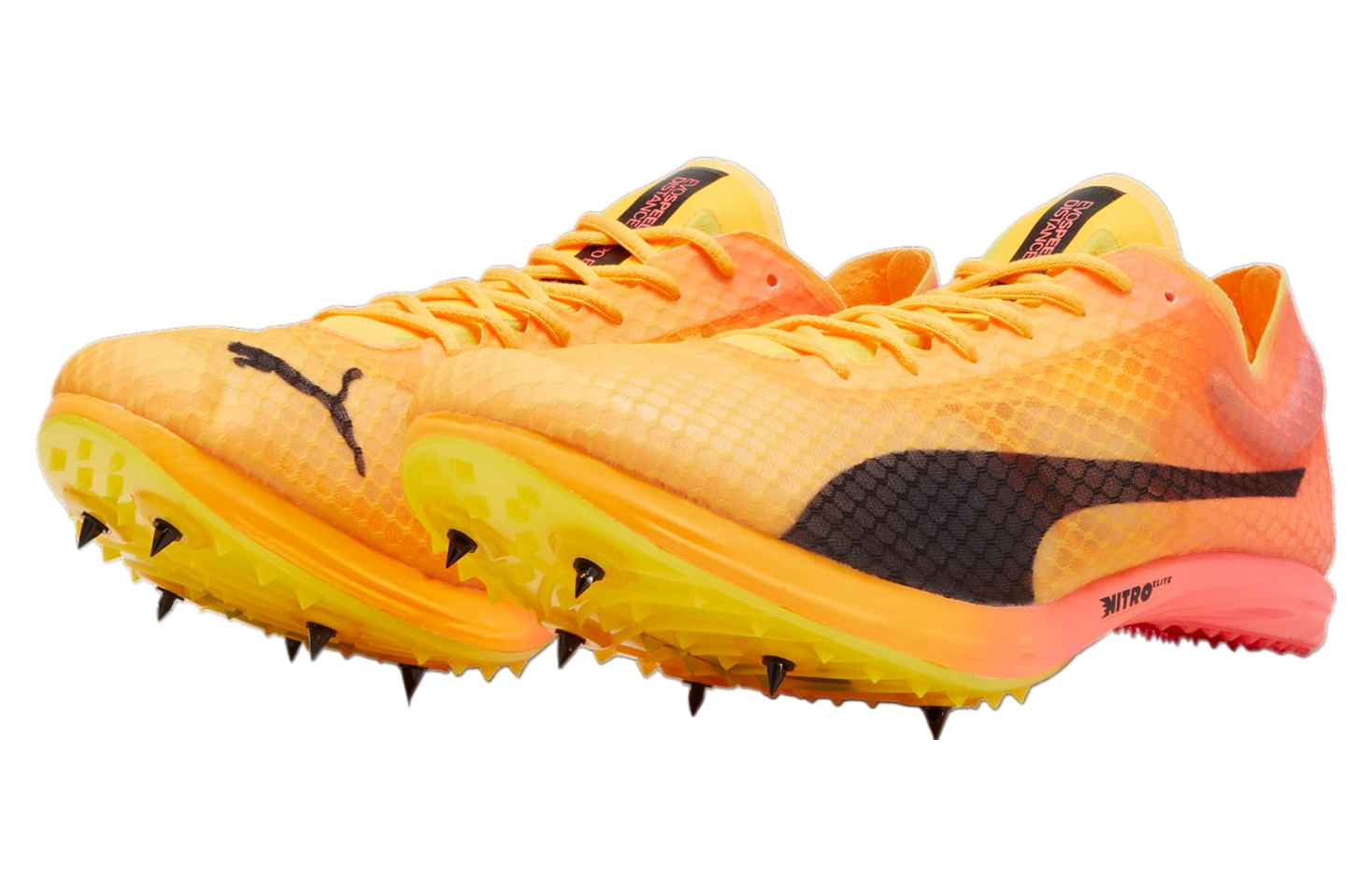 Puma Evospeed Distance Nitro Elite+ 4 Track Spikes Sun Stream / Sunset Glow