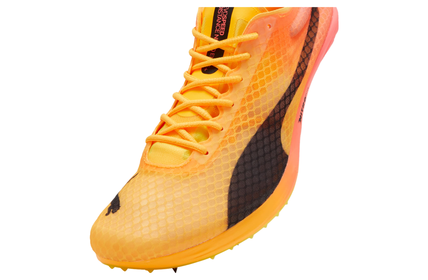 Puma Evospeed Distance Nitro Elite+ 4 Track Spikes Sun Stream / Sunset Glow